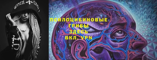 герыч Алексин