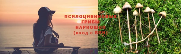 герыч Алексин