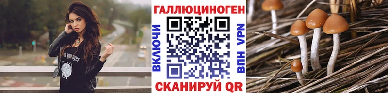 Галлюциногенные грибы Psilocybine cubensis  hydra вход  Ивангород 